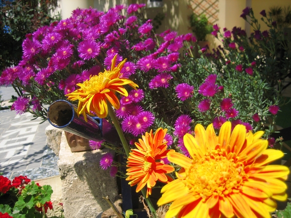 The wonderful flower troley at the entrance of Evropi.