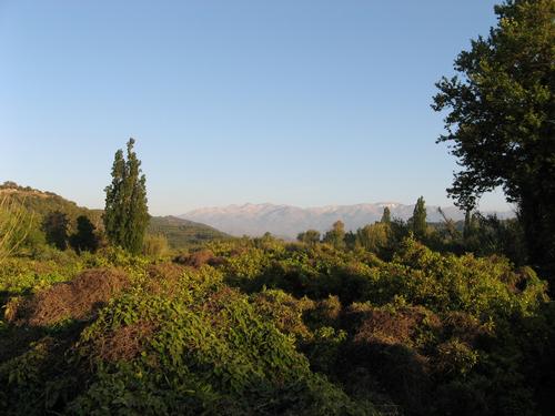 Platanias has one of the most fertile nature environments in Crete. Junglistic looks around the rive...
